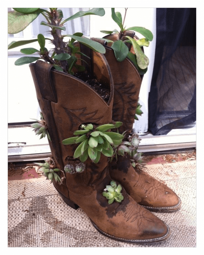 استفاده از کفش های کهنه و قدیمی با کاشت گل و گیاه درون آنها