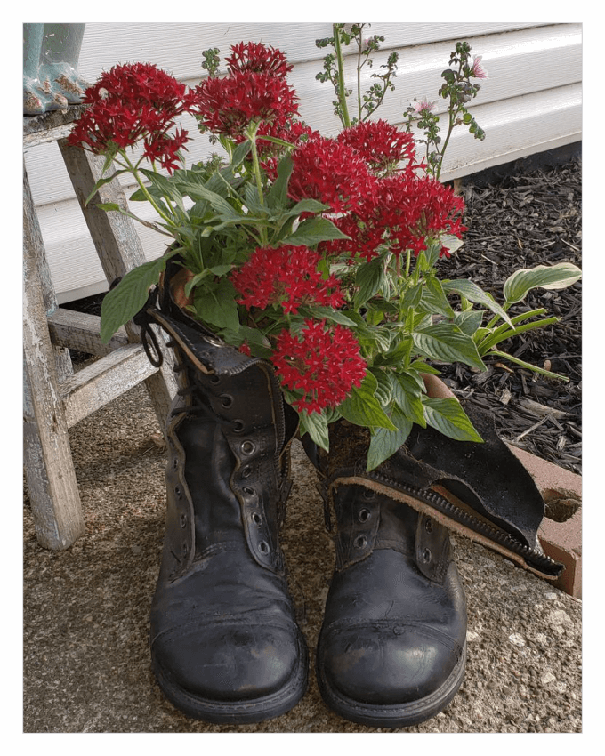 استفاده از کفش های کهنه و قدیمی با کاشت گل و گیاه درون آنها